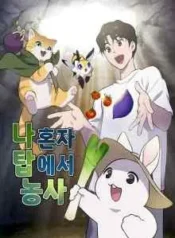 cover-1308-1781332259.webp