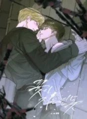 cover-1956-1781865021.webp