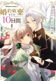 cover-2048-1781951420.webp