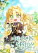 cover-737-1780972295.webp
